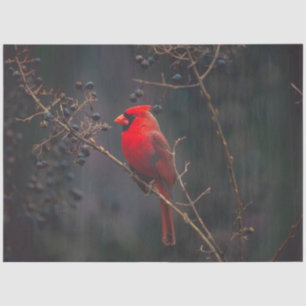 Papel de tejido cardinal