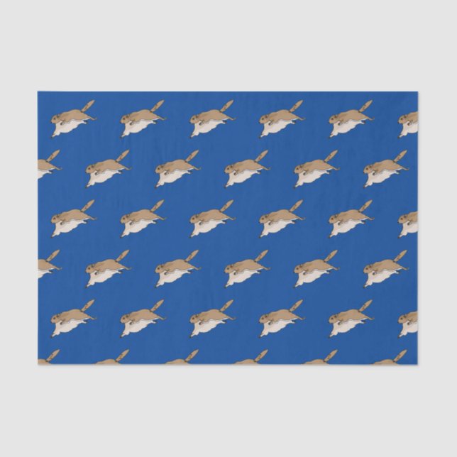 Papel de tejido de ardilla voladora (Anverso)