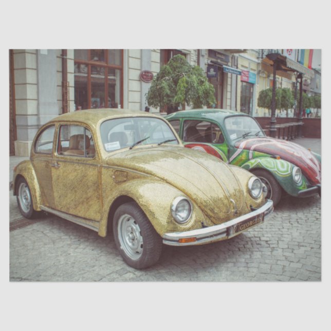 papel de tejido de coches de insectos (Anverso)