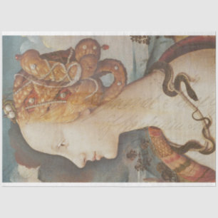 Papel de Tejido de Decoloración de Snake Princes