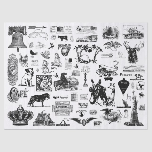 Papel de Tejido de descomposición de color de vint (Anverso)