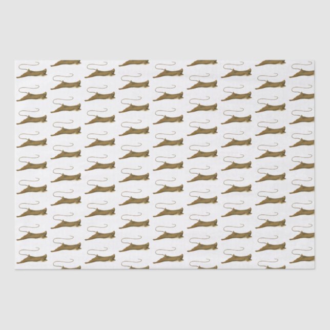 Papel de Tejido de Dibujo Stingray de época (Anverso)