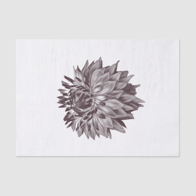 Papel De Tejido De Flor Grande Para Regalo De Arte (Anverso)