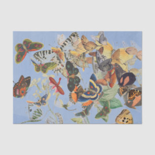 Papel de Tejido de la FLECHA DE LA BOTELLA