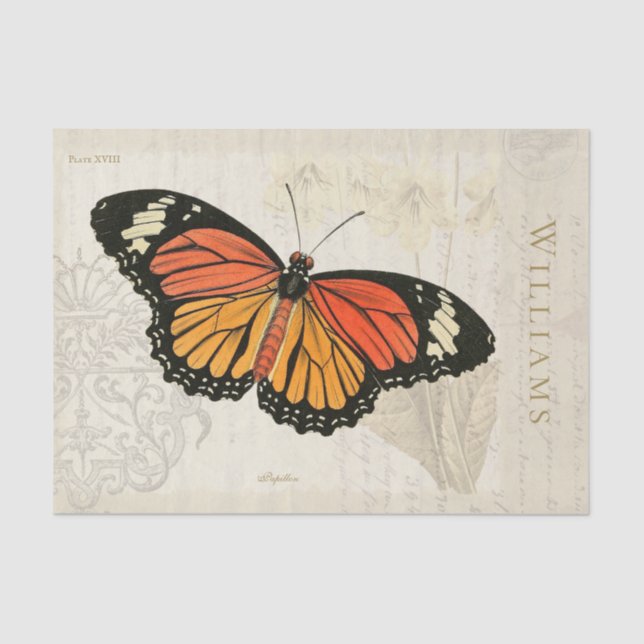 Papel de tejido de mariposa de Naranja blanco negr (Anverso)