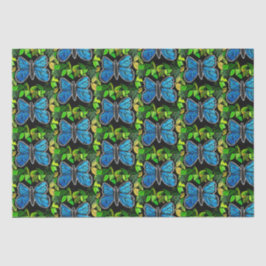 Papel de tejido de mariposa morfo