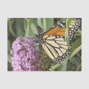 Papel de tejido de mariposa y flor púrpura