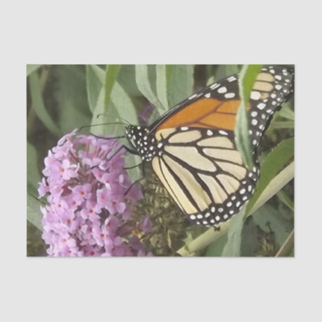 Papel de tejido de mariposa y flor púrpura (Anverso)