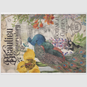 Papel de tejido de pavo real vintage