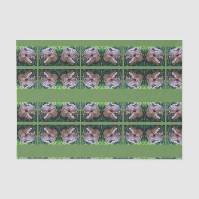 Papel de tejido decorativo Dinosaurio (Anverso)
