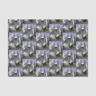 Papel de tejido decorativo Wolf