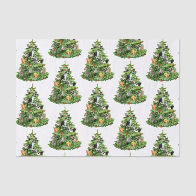 Papel de tejido del árbol del gato (Anverso)
