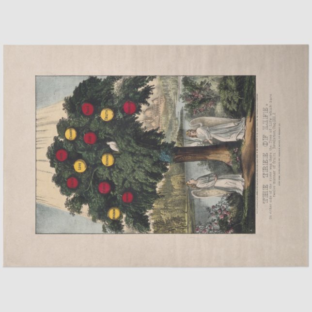 PAPEL DE TEJIDO : EL ÁRBOL DE LA VIDA : BAKEWELL : (Anverso)