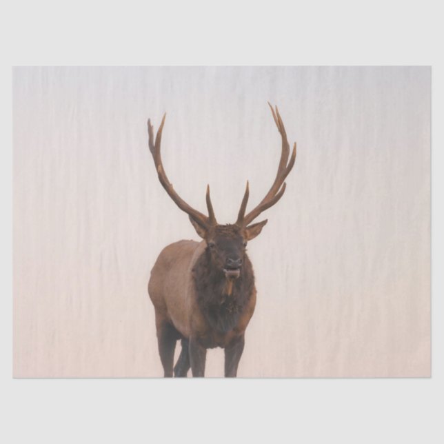 Papel De Tejido Elk (Anverso)