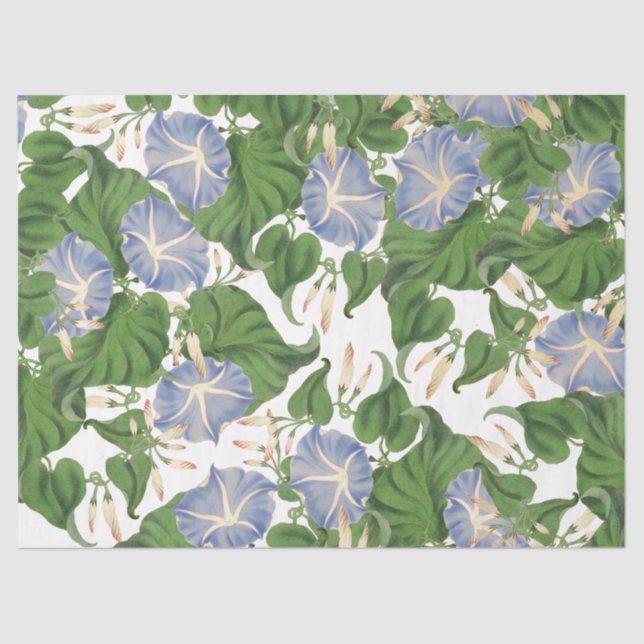 Papel de Tejido Floral de Flor de Gloria (Anverso)