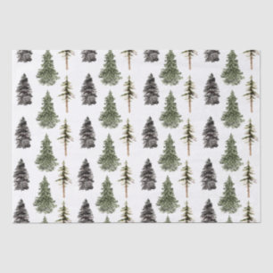 Papel De Tejido Forestal De Pino Y Árbol Sprudente