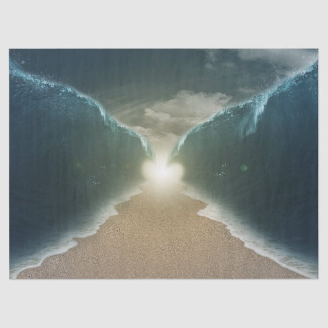 papel de tejido marino rojo (Anverso)