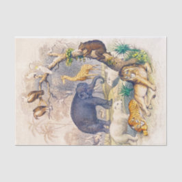 Papel de tejido o descomposición de animales de la