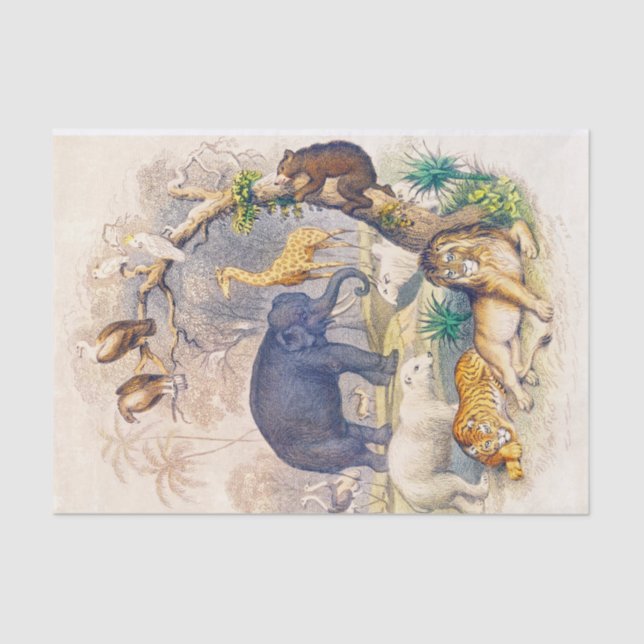 Papel de tejido o descomposición de animales de la (Anverso)