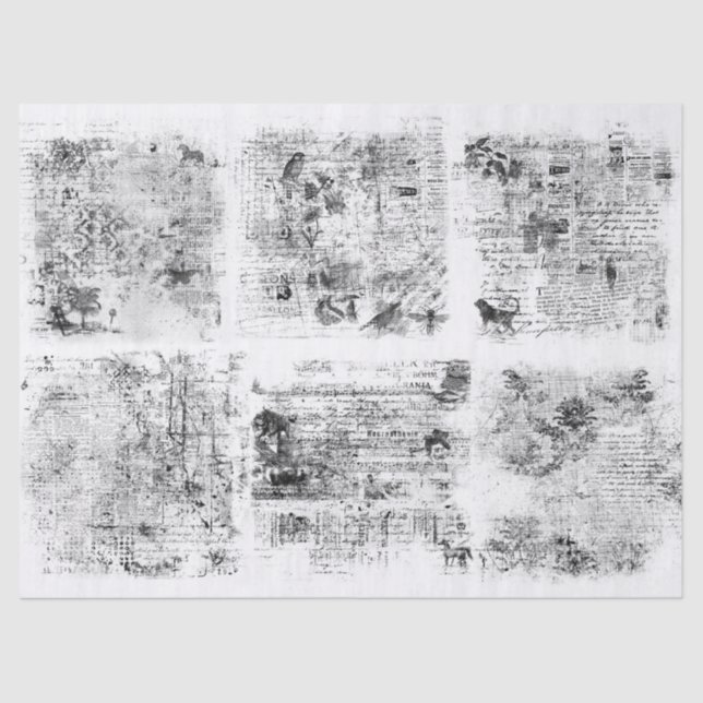 Papel de Tejido o Descomposición de Efema Vintado (Anverso)