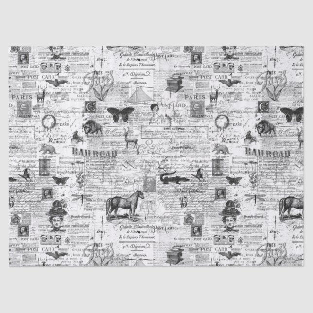 Papel de tejido o descomposición de Ilustraciones  (Anverso)