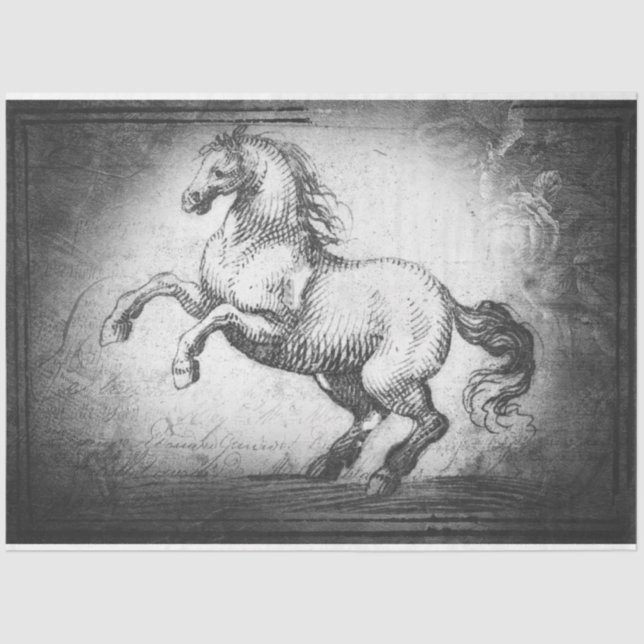 Papel de tejido o desenvolver de caballos de cosec (Anverso)