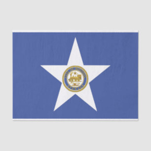 Papel de tejido patriótico con bandera de Houston