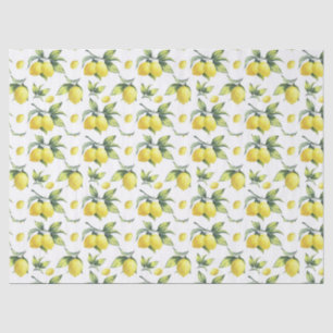 Papel de tejido y descomposición - Lemon's