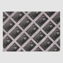 Papel de tejidos 10 lb Damas con té opt.3