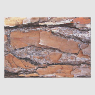 Papel de tejidos- Barba de pino