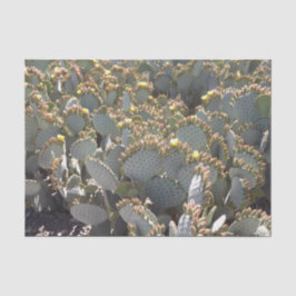 Papel de tejidos Cactus