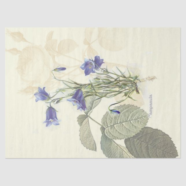 Papel de tejidos Campanula Vintage (Anverso)