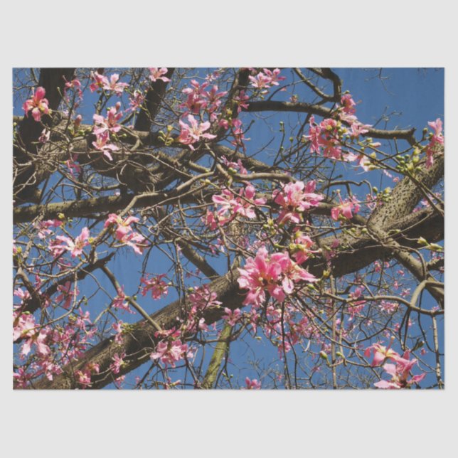 Papel de tejidos con burbujas de árboles de flotac (Anverso)