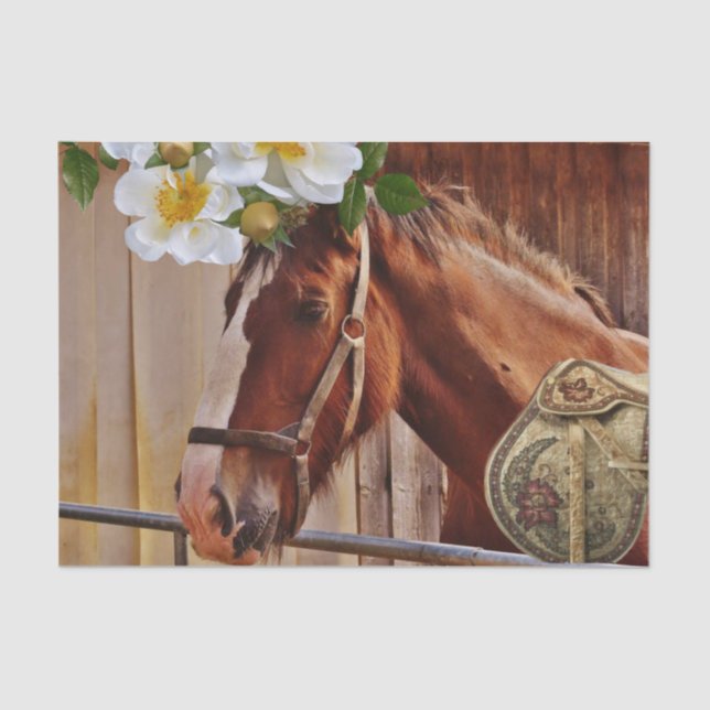 Papel de tejidos con flor de caballo (Anverso)