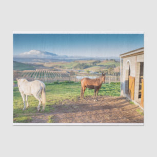 Papel de tejidos con imagen de caballos árabes