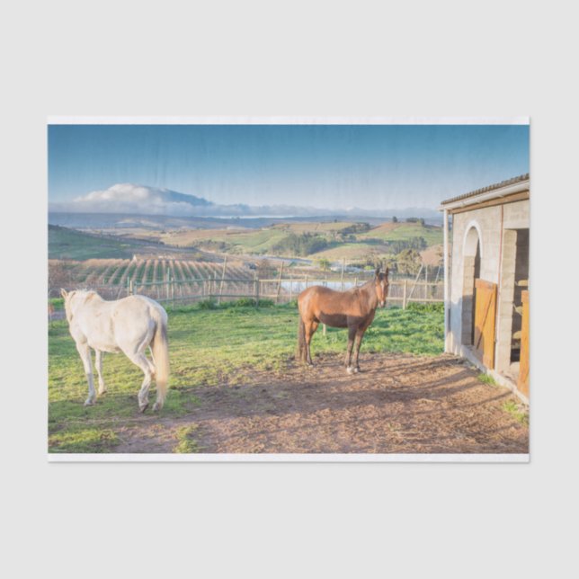 Papel de tejidos con imagen de caballos árabes (Anverso)