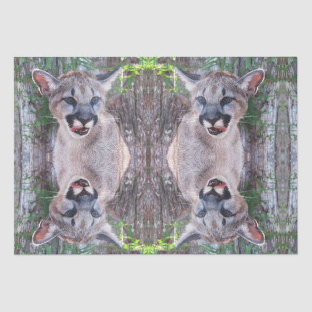 Papel de tejidos Cubo Cougar / Papel de descomposi (Anverso)