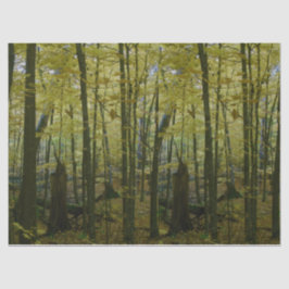 Papel de tejidos de árboles verdes y negros