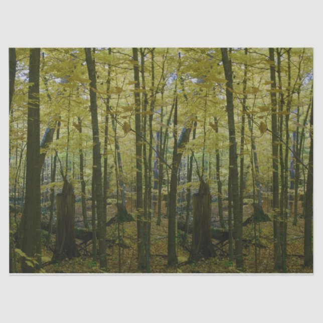 Papel de tejidos de árboles verdes y negros (Anverso)