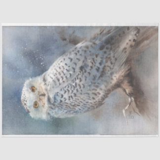 Papel de tejidos de búho de invierno