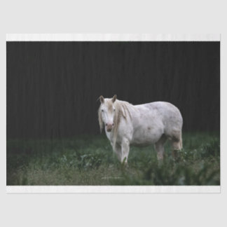 Papel de tejidos de caballo salvaje