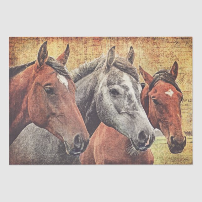 Papel de tejidos de caballos para desacoplamiento  (Anverso)