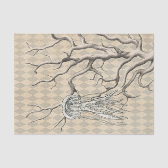 Papel de tejidos de corales y medusas (Anverso)