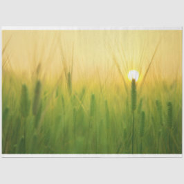 Papel de tejidos de descomposición de la granja de