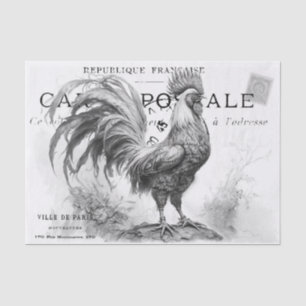 Papel de tejidos de escotilla de pollo