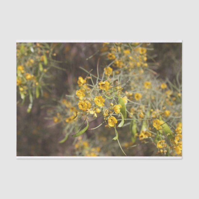 Papel de tejidos de flores amarillas (Anverso)