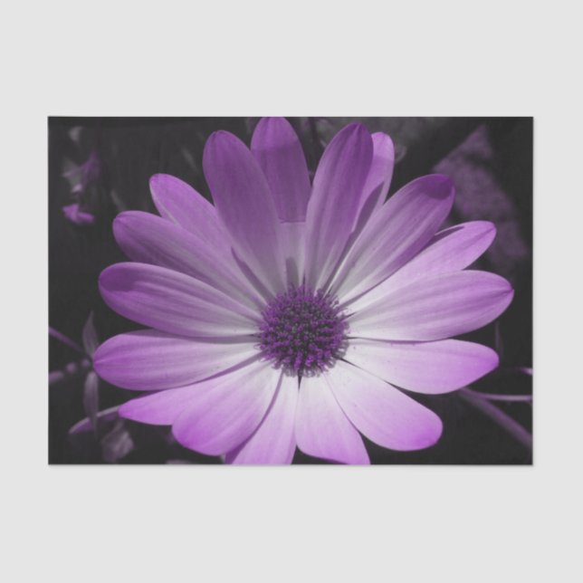 Papel de tejidos de flores moradas (Anverso)