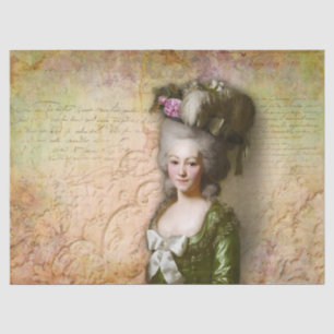 Papel de tejidos de la dama aristocrática