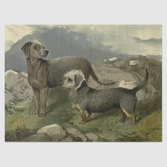 Papel de tejidos de los territorios de época (Anverso)