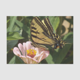 Papel de tejidos de mariposa